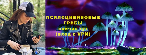 амф Богородск