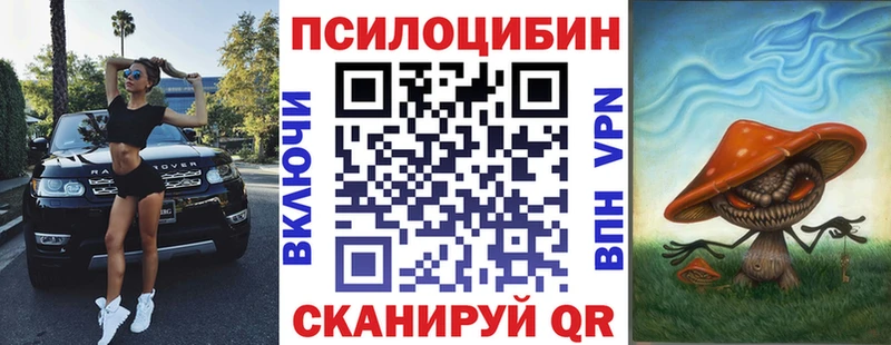 Купить  Зеленоградск  Псилоцибиновые грибы мицелий 